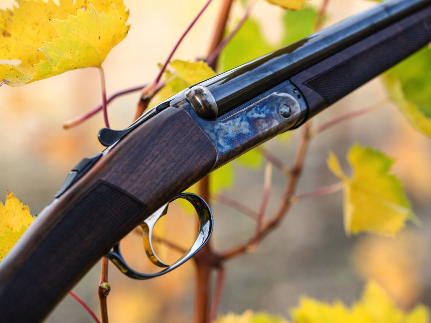МП Ружье Franchi 20x76 Esprit 680мм